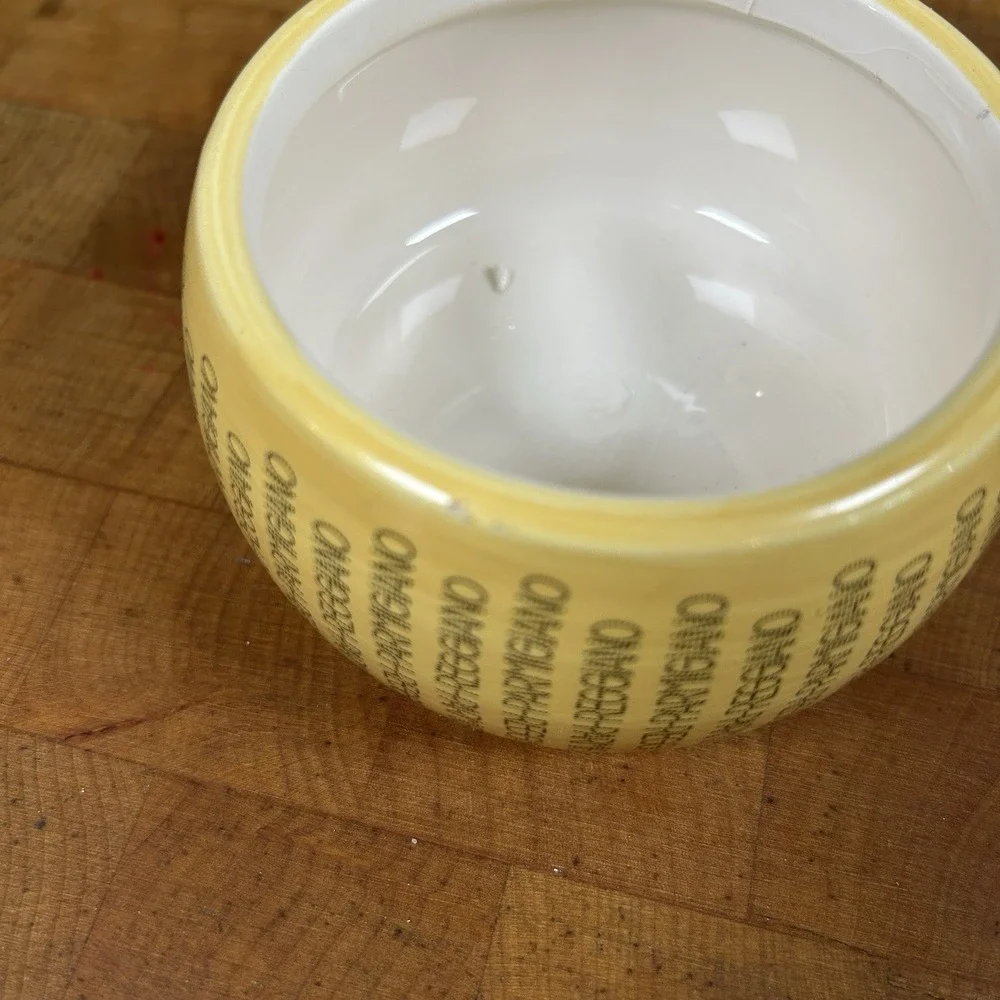 Consorzio Parmigiano Reggiano Ceramic Cheese Jar Italy 3.5
